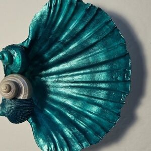 Shell Handcrafted for your Trinkets